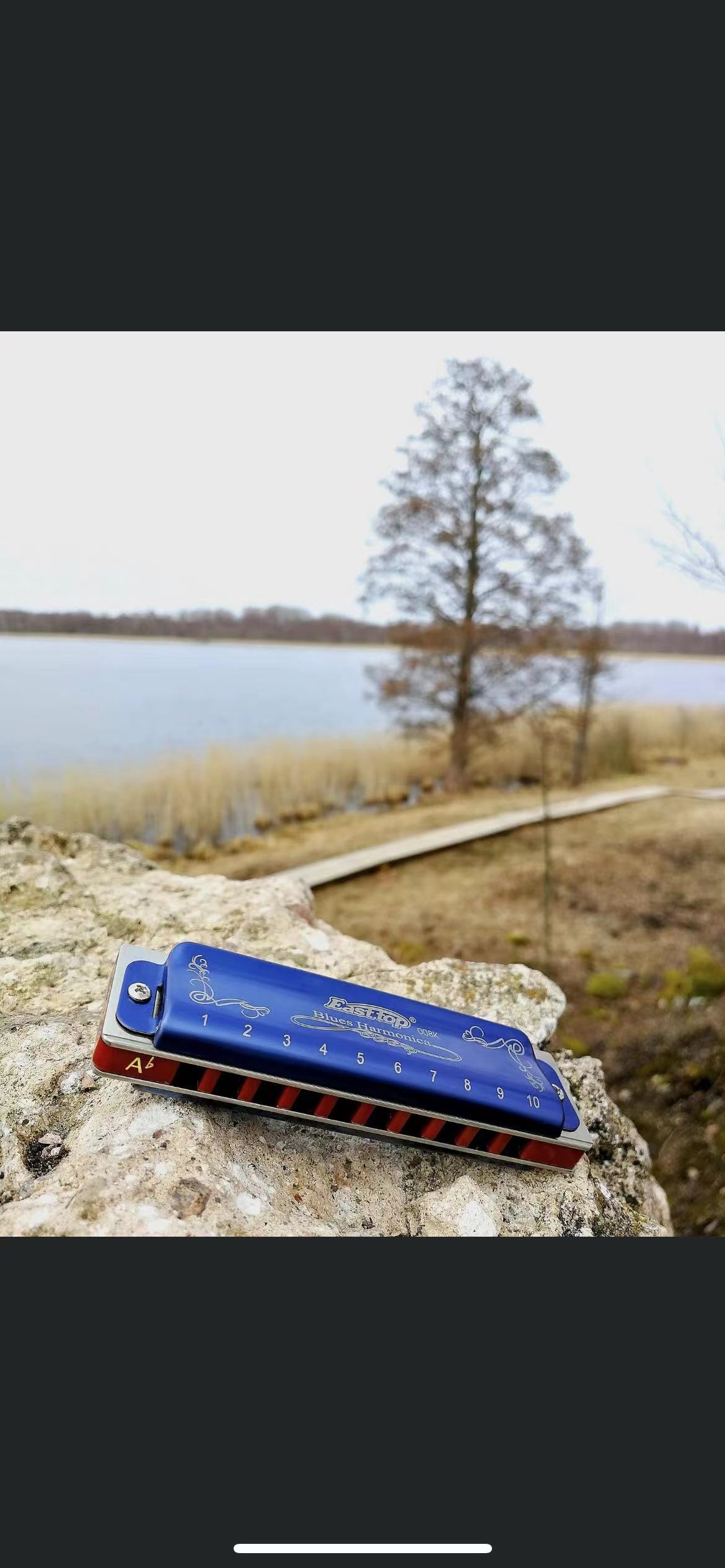 EASTTOP T008K Key of a New Blu - Harmonica 10 Hole recension och pris