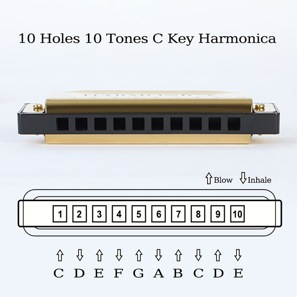 10 Hole C Harmonica Blues Harp - Harmonica 10 Hole recension och pris