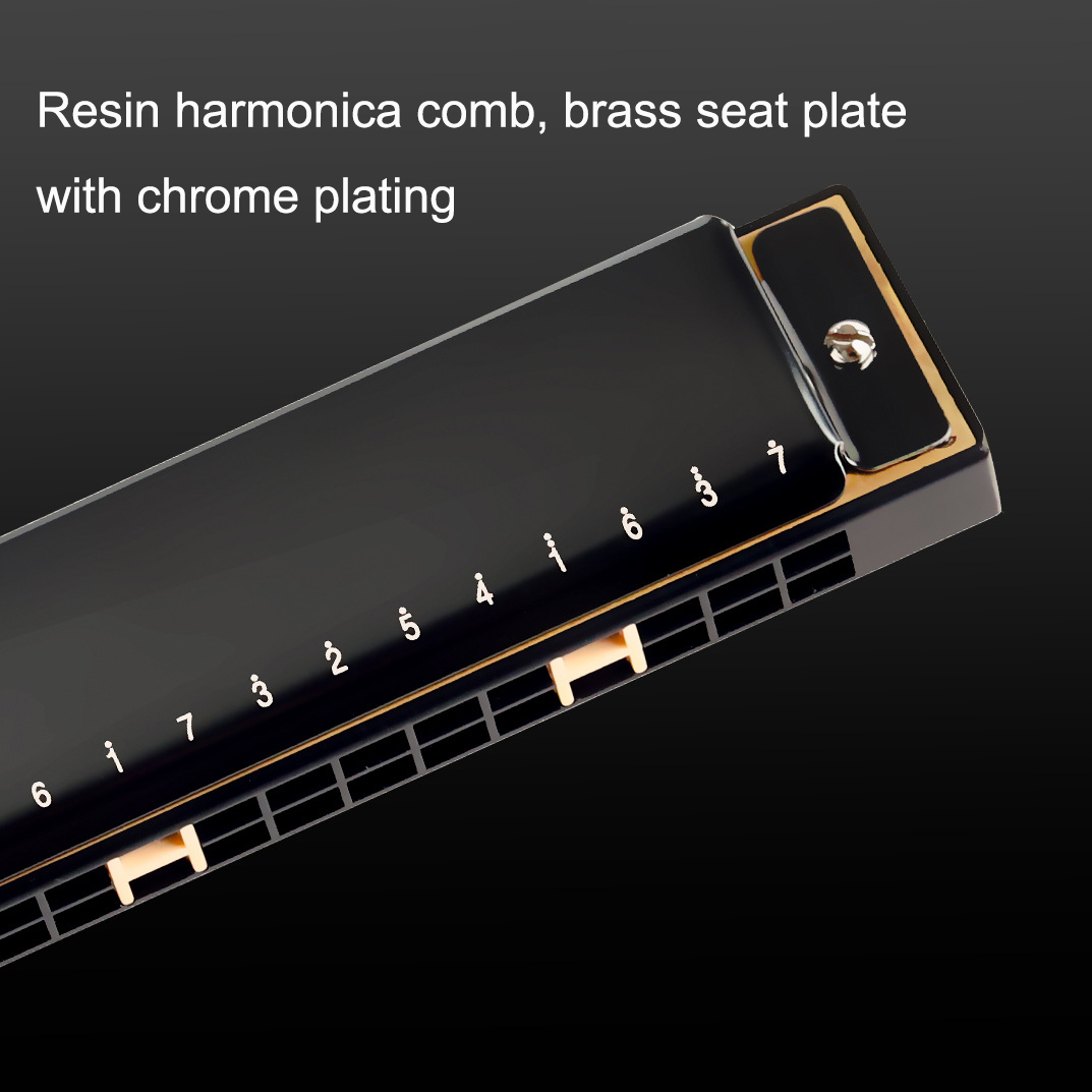 Guoguang Tremolo Harmonica 24  - Harmonica 10 Hole recension och pris