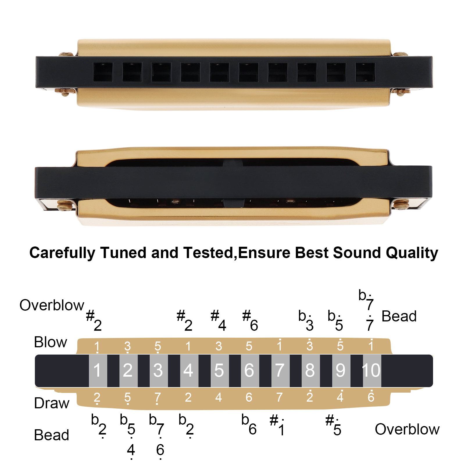 Silver / Gold KeyC 10 Hole 20  - Harmonica 10 Hole recension och pris